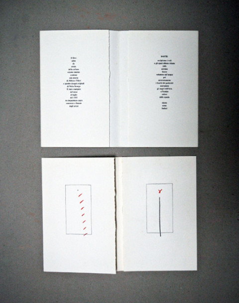Libri d'artista