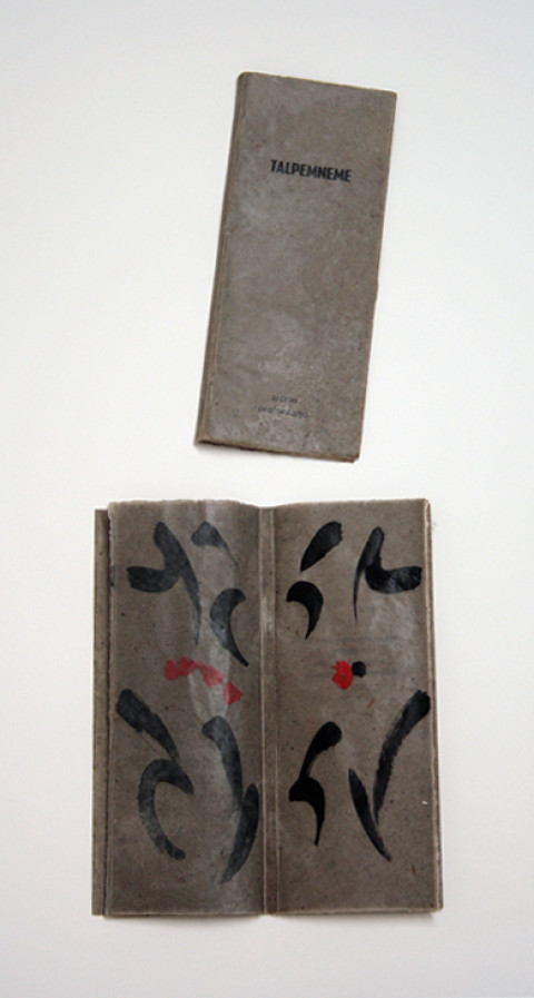 Libri d'artista