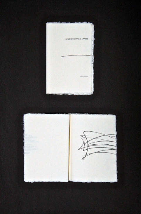 Libri d'artista