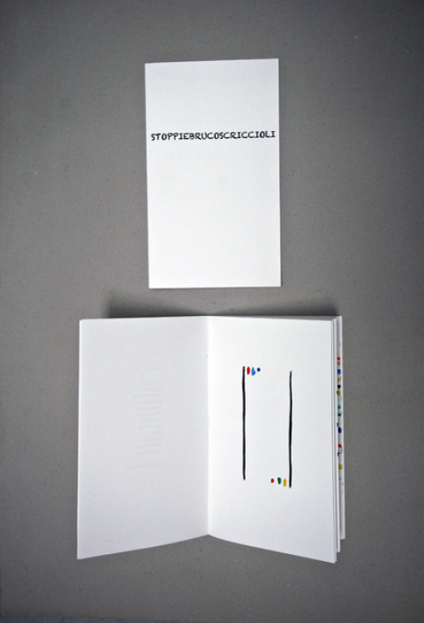 Libri d'artista
